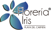 Logo Florería Iris